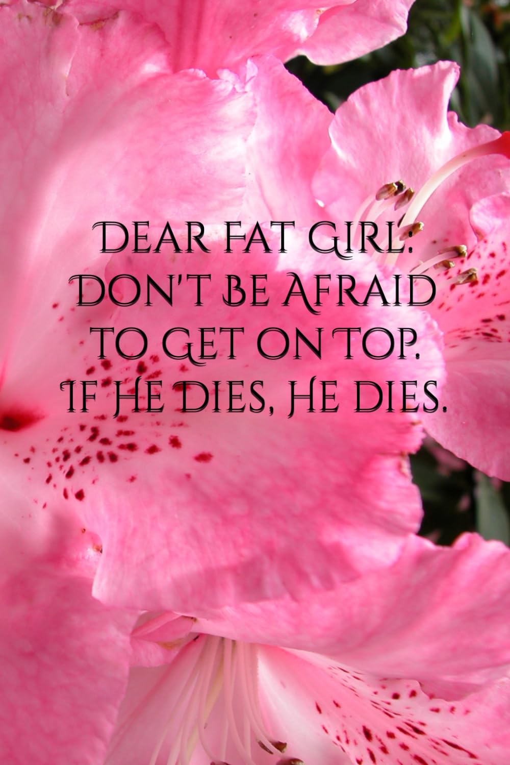 Dear Fat Girl: Don't Be Afraid to Get on Top. If he dies, he dies.: Journal/Notebook/Diary. 6x9 Inches, Lined. 100 Pages.