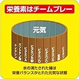 大塚製薬 ネイチャーメイド マルチビタミンの商品画像