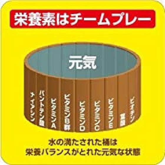 大塚製薬 ネイチャーメイド マルチビタミンの商品画像