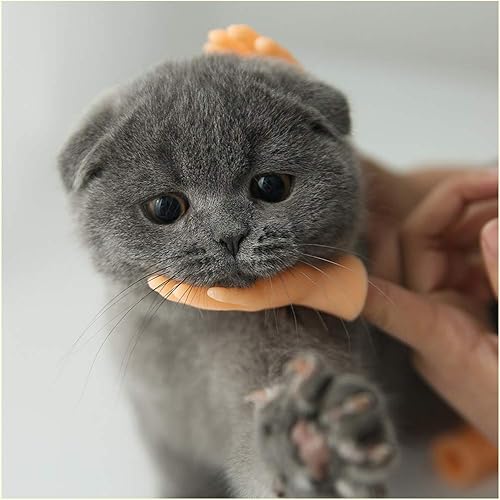 Miniatura 4 de 10 piezas de marionetas de dedo, manos pequeñas con manos izquierdas y manos derechas. Diseño divertido y realista ideal para espectáculos de