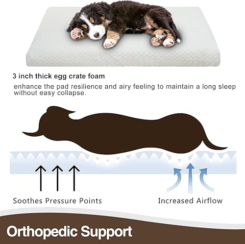 Miniatura 6 de EMPSIGN Almohadilla para jaula para perro, de lujo, lavable a máquina, funda extraíble, colchoneta para dormir, 35 x 22 x 3 pulgadas, color blanco