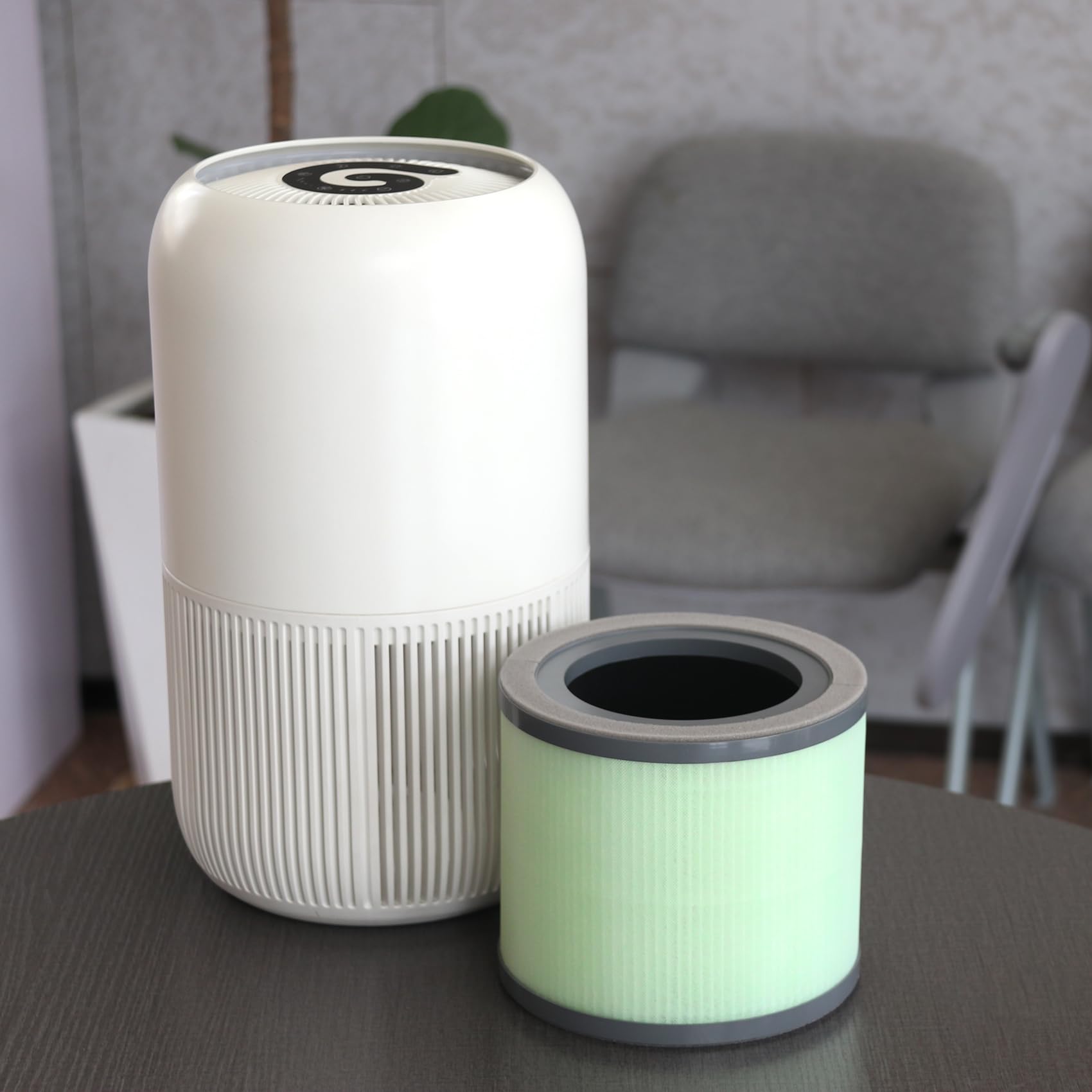 Amazon.com: TR-8080 Replacement Filter Compatible with Dreamegg TR