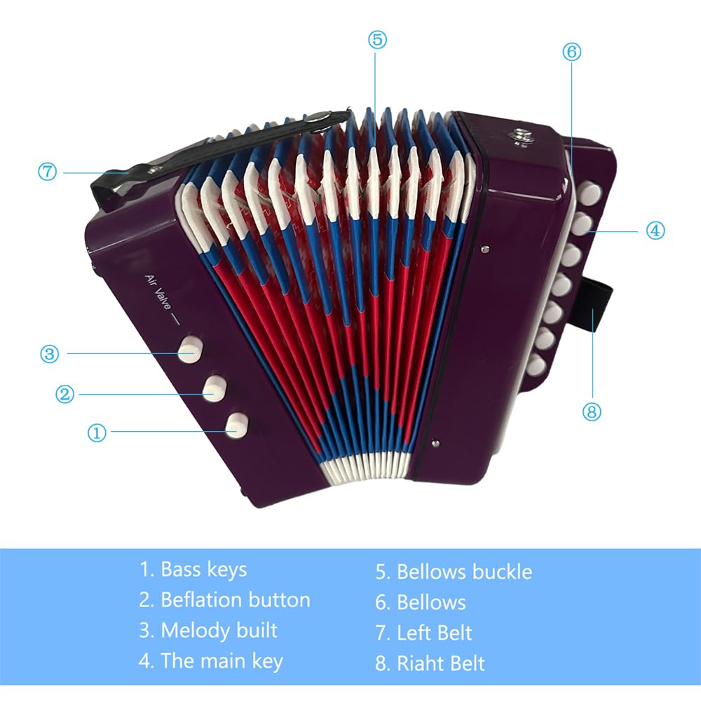 Mini fisarmonica a 7 tasti, 2 bassi, in ABS, strumento musicale per principianti, leggero, con pulsanti, fisarmonica, coordinazione occhio-mano, performance palcoscenico (viola)