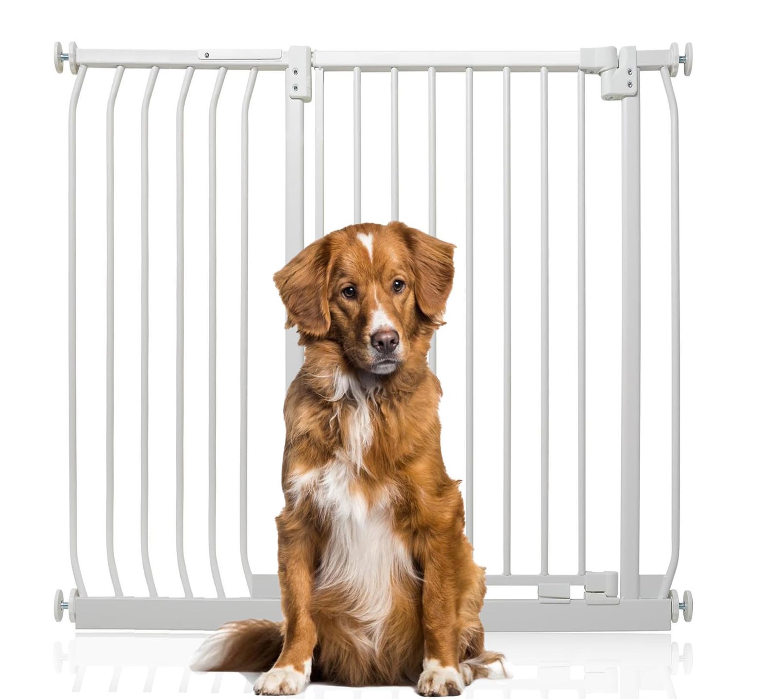 Bettacare Extra Tall Elite Dog Gate, 107cm - 116cm, Matt White, Extra Tall 100cm in Height, Pressure Fit Pet Gate for Dog and Puppy, Pet and Dog Barrier, Easy Installation
