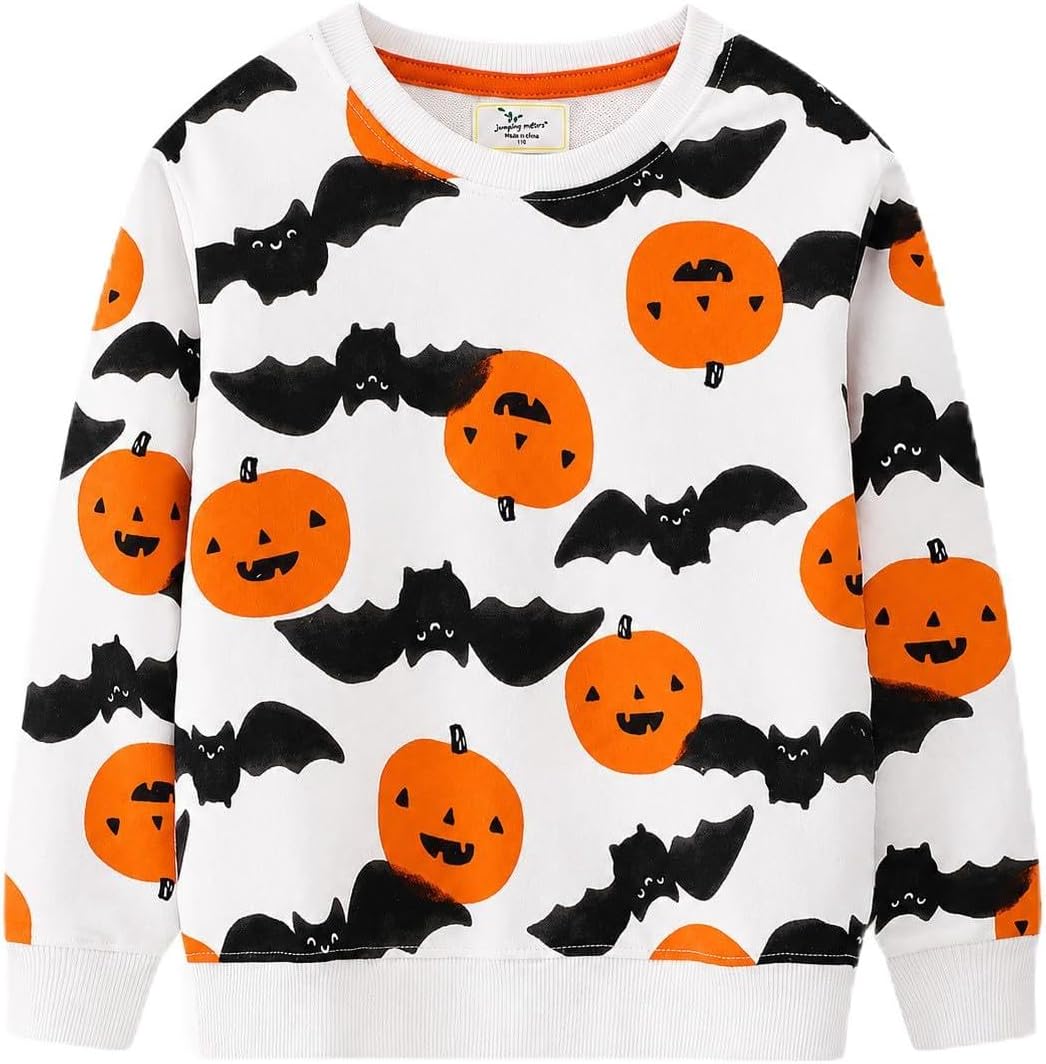 Toddler Boy's Kids Crewneck Pullover Sweatshirts 2-7T