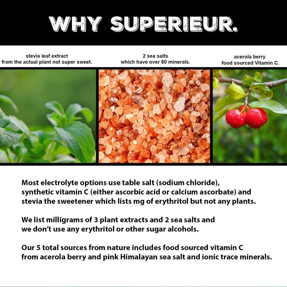 Miniatura 5 de Superieur Paquetes de polvo de electrolitos  Polvo de hidratación de electrolitos veganos con minerales marinos  Apto para dieta cetogénica, sin