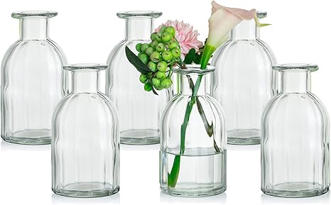 Lxoraziy Glass Bud Vases, Set of 5, Beautiful Clear Vase, Vintage