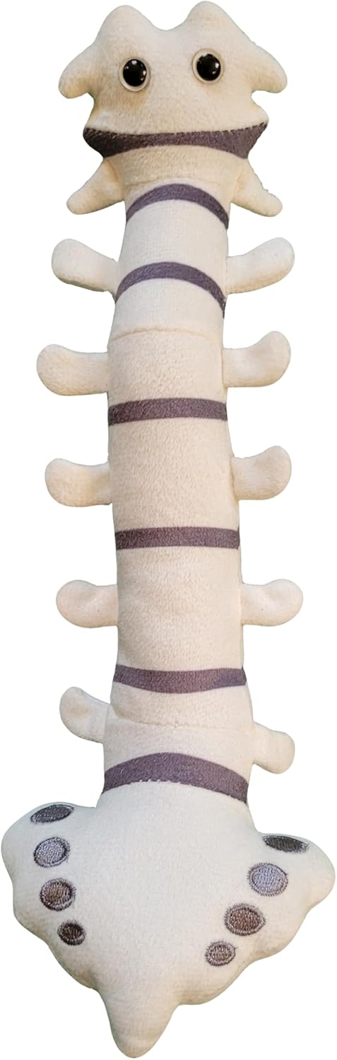 GIANTmicrobes Spine Plush, Spine Surgeon Gifts, Back Surgery Recovery Gifts, Lumbar Spine Model, Neurology Gifts, Funny Chiropractor Gifts, Neurosurgery Gifts, Neurosurgeon Gifts, Back Pain Gifts