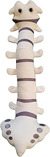 GIANTmicrobes Spine Plush, Spine Surgeon Gifts, Back Surgery Recovery Gifts, Lumbar Spine Model, Neurology Gifts, Funny Chiropractor Gifts, Neurosurgery Gifts, Neurosurgeon Gifts, Back Pain Gifts