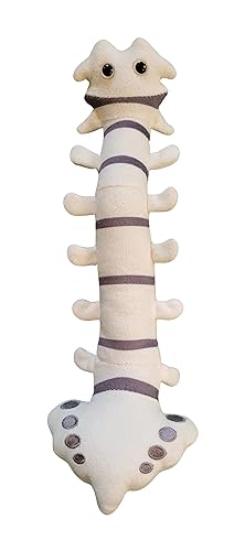 GIANTmicrobes Spine Plush, Spine Surgeon Gifts, Back Surgery Recovery Gifts, Lumbar Spine Model, Neurology Gifts, Funny Chiropractor Gifts, Neurosurgery Gifts, Neurosurgeon Gifts, Back Pain Gifts