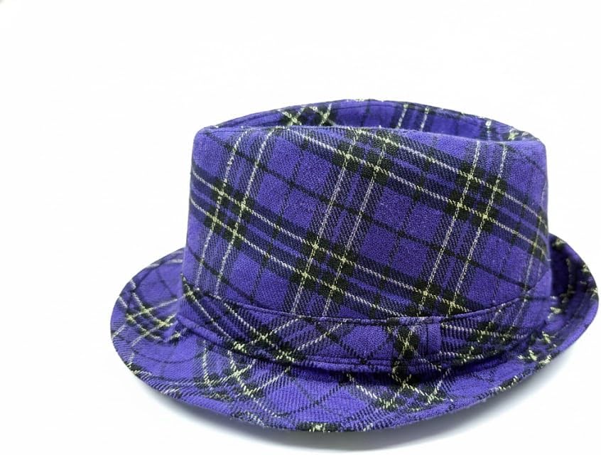 GiftExpress Mardi Gras Fedora Hat, Purple Plaid Costume Party Hat for Men and Women, Parade & Photo Booth Accessory, One Size Fits Most Adults
