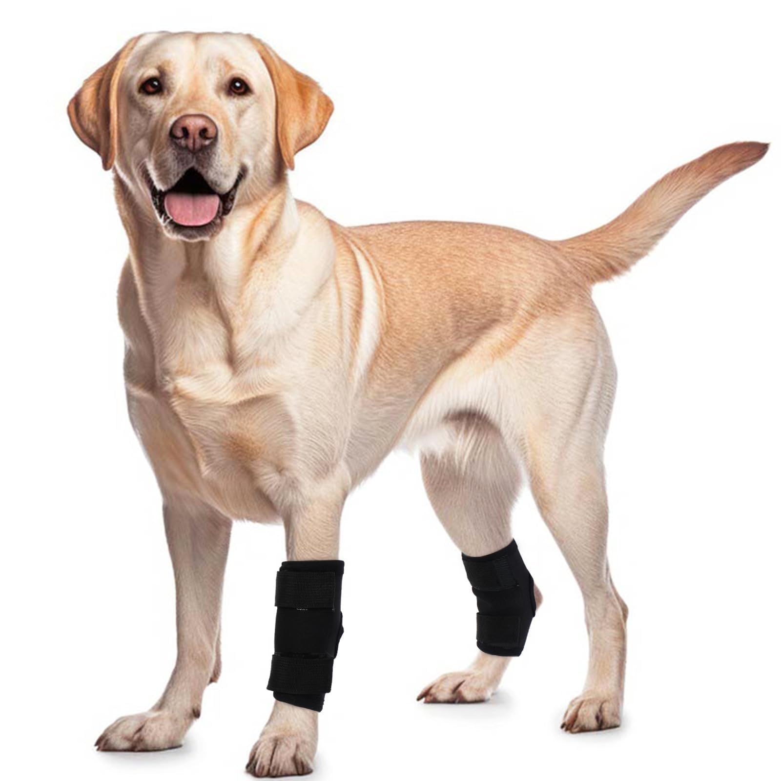 PUMYPOREITY 2Pcs Dog Rear Leg Hock Brace, Dog Hock Joint Brace for Sprains, Front/Hind Leg Support for Arthritis, Stability after Injury, Hock(Ankle) Support HockWrap Sleeve(Black, M)