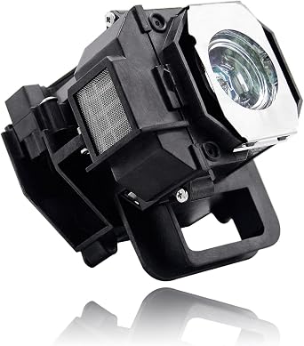 V13H010L49 Replacement Projector Lamp with Housing for Epson Elplp49 PowerLite Home Cinema 8350 /PowerLite Home Cinema 8700UB 8500UB, H373A H336A PowerLite PC 9700UB 9500UB 9350 9100