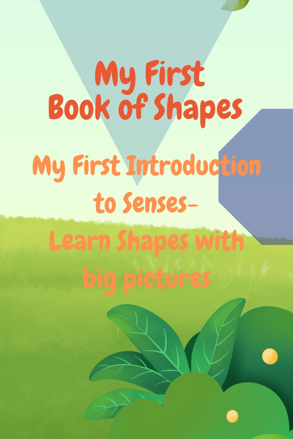 My First Book of Shapes: Shapes for Toddlers (My First Introduction to Senses)