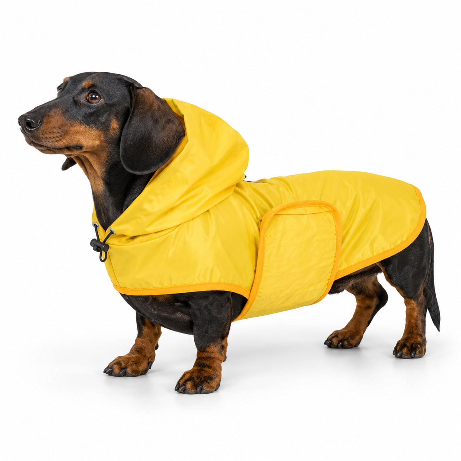 Morezi Dachshund Raincoat, Waterproof Dog Raincoats for Sausage Dogs