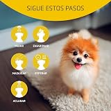 Ver la foto 3
