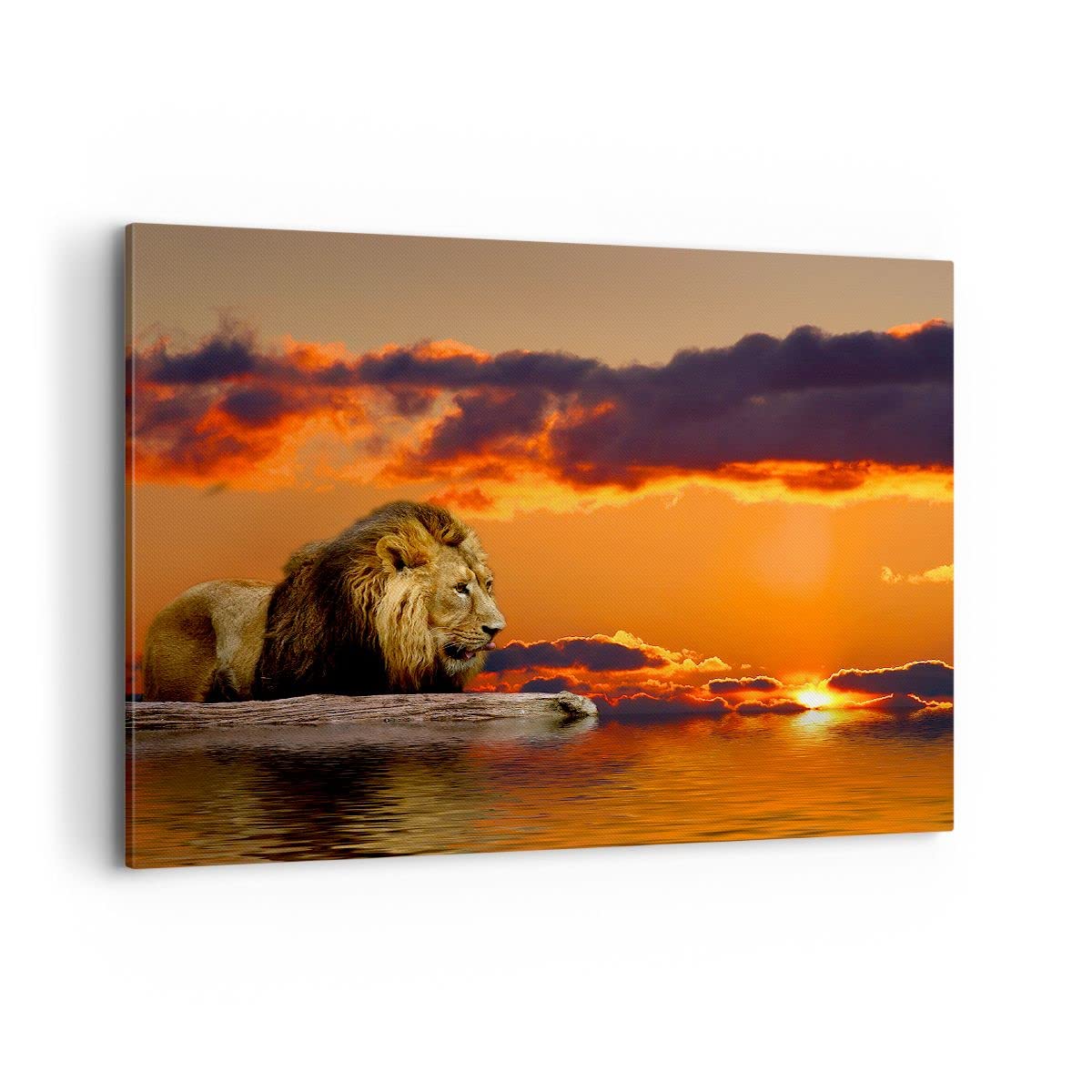 ARTTOR Lienzos decorativos 100x70cm Cuadro Sobre Lienzo Moderno León Sol Paisaje Grande Dormitorio Cocina Cuadros Pared Imágenes Cuadros Decoracion Salon Wall Art Prints Decor Canvas AA100x70-0230