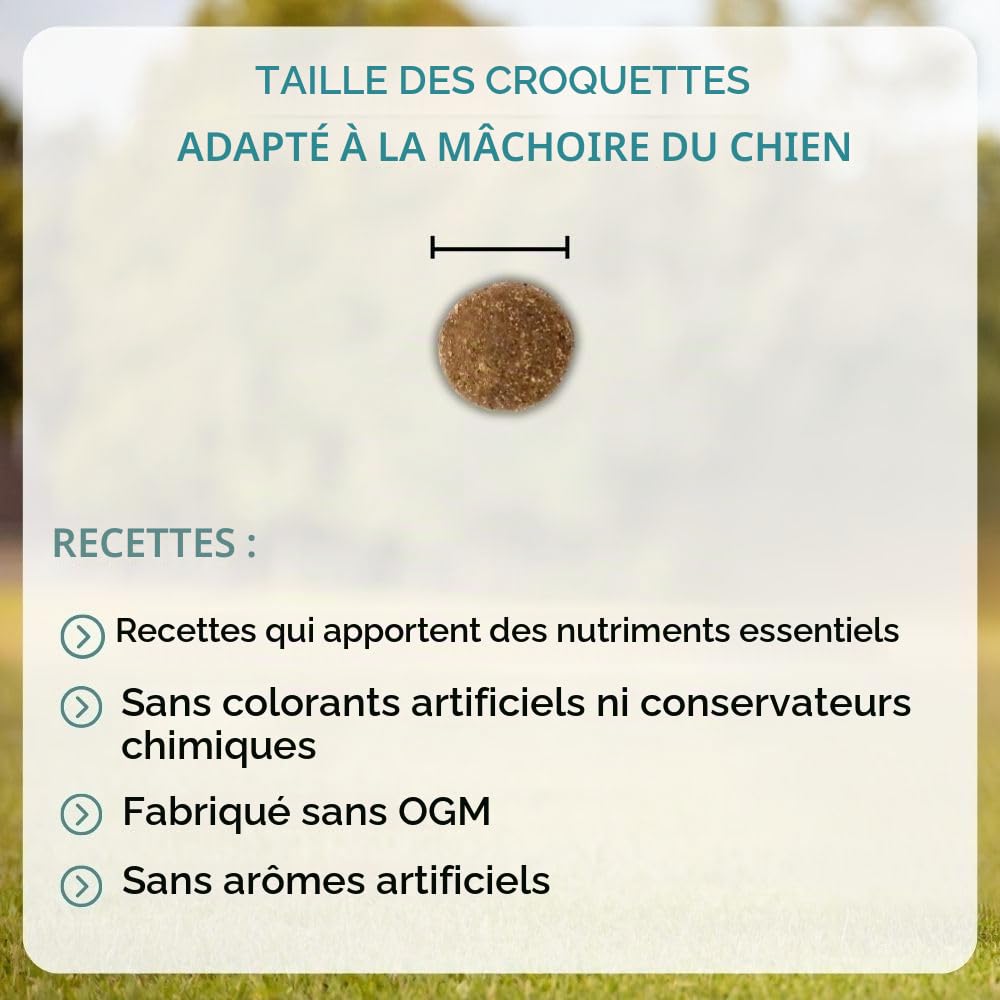 NUTRIVET - Premium Master Senior - Croquettes pour Chien de Plus de 7ans - Poulet & Riz - 15kg