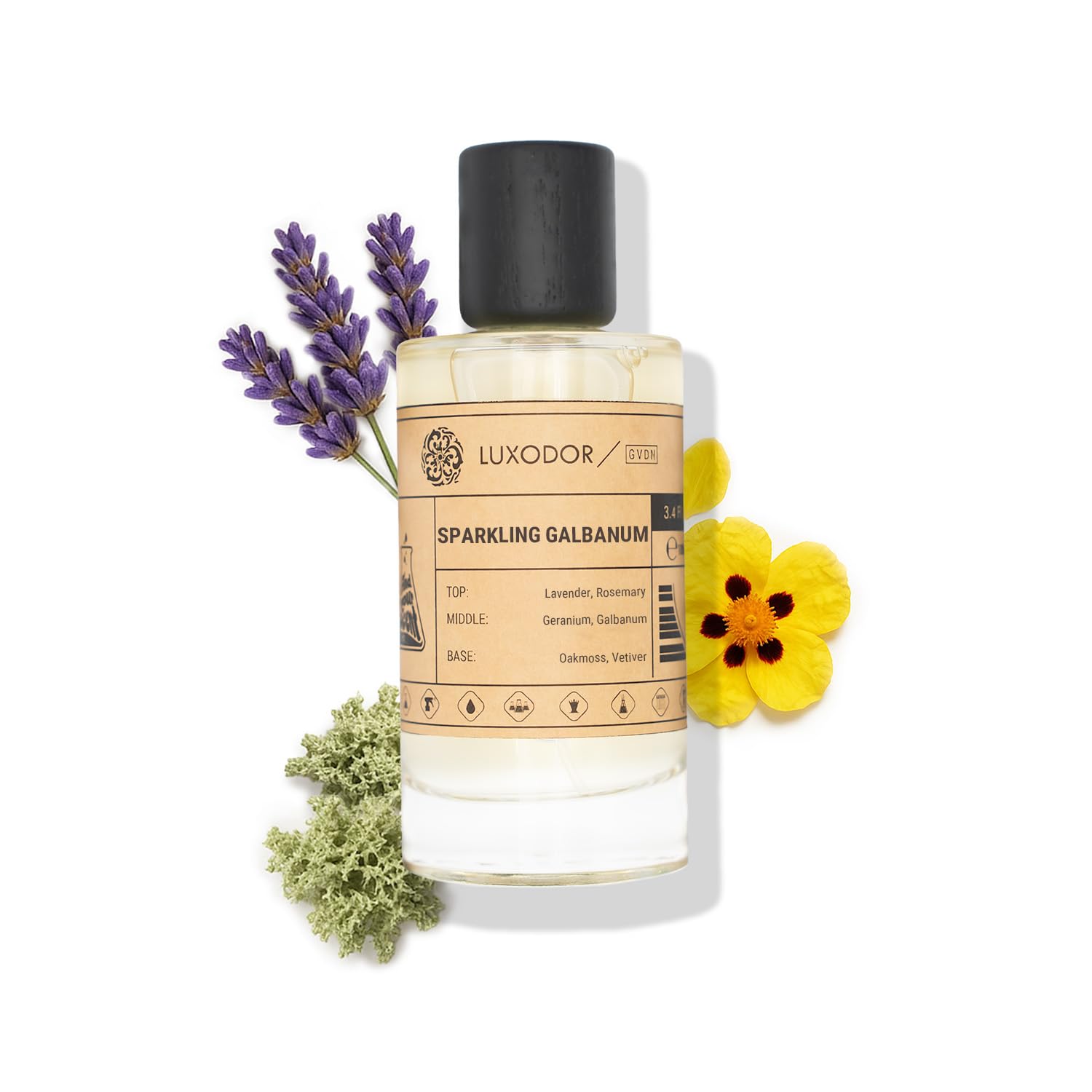 Arabian Night Eau De Parfum, Inspired by Arabians Tonka – Unisex Tonka Bean Perfume Spray 3.4 fl oz (100ml) and Concentrated Oil 10ml, Long Lasting Fragrance