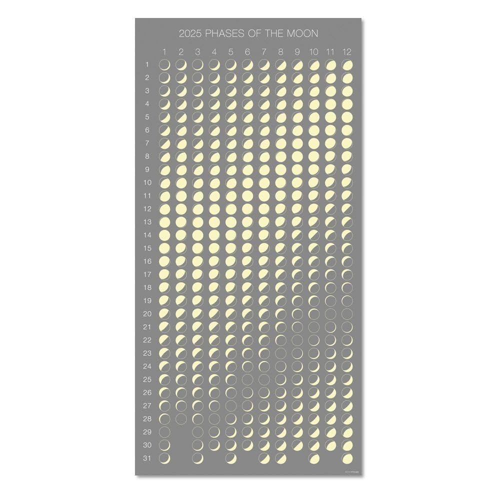 Amazon | ムーングラフィックス 2025年 カレンダー ムーン