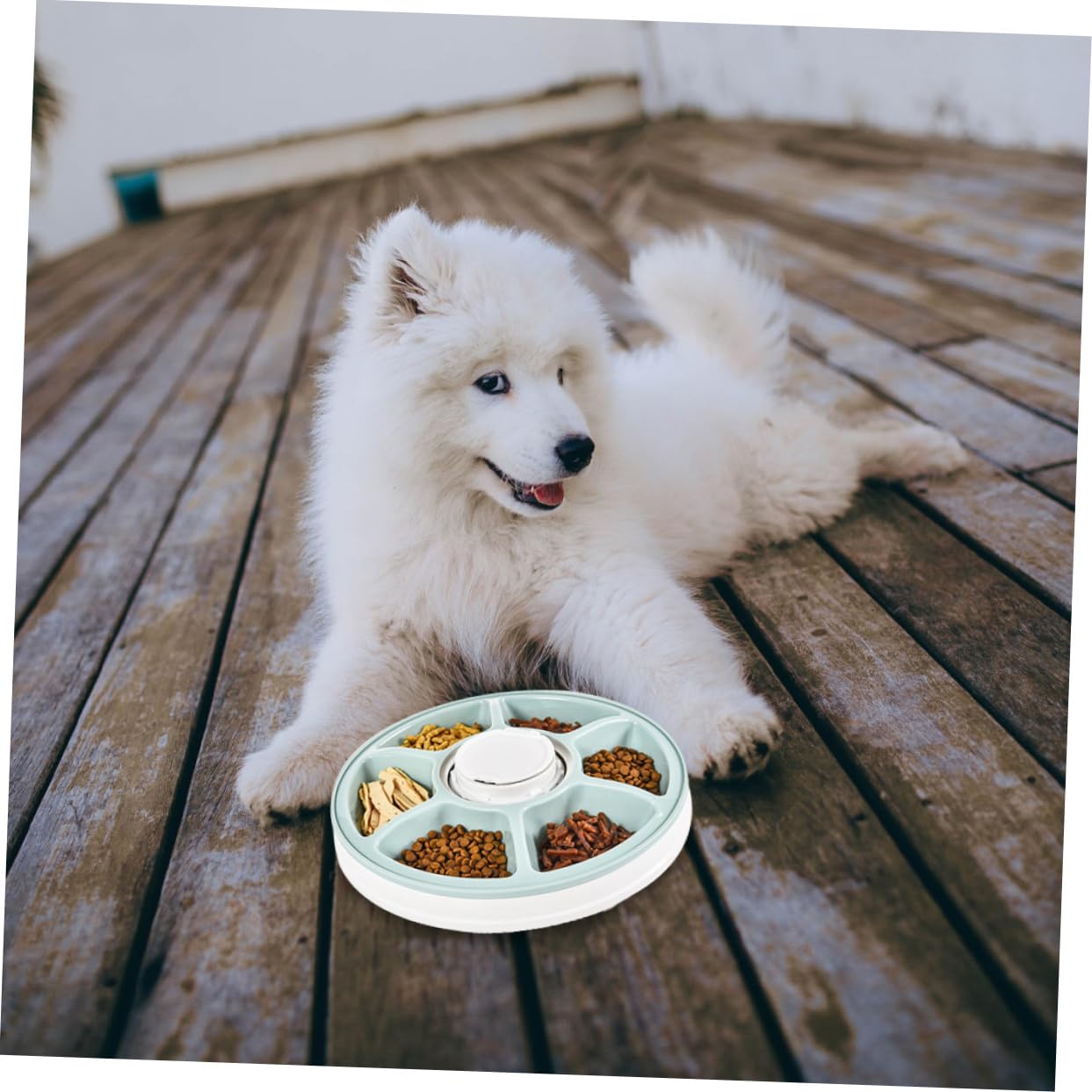 Distributore Crocchette Cane Intelligente in Abs Verde