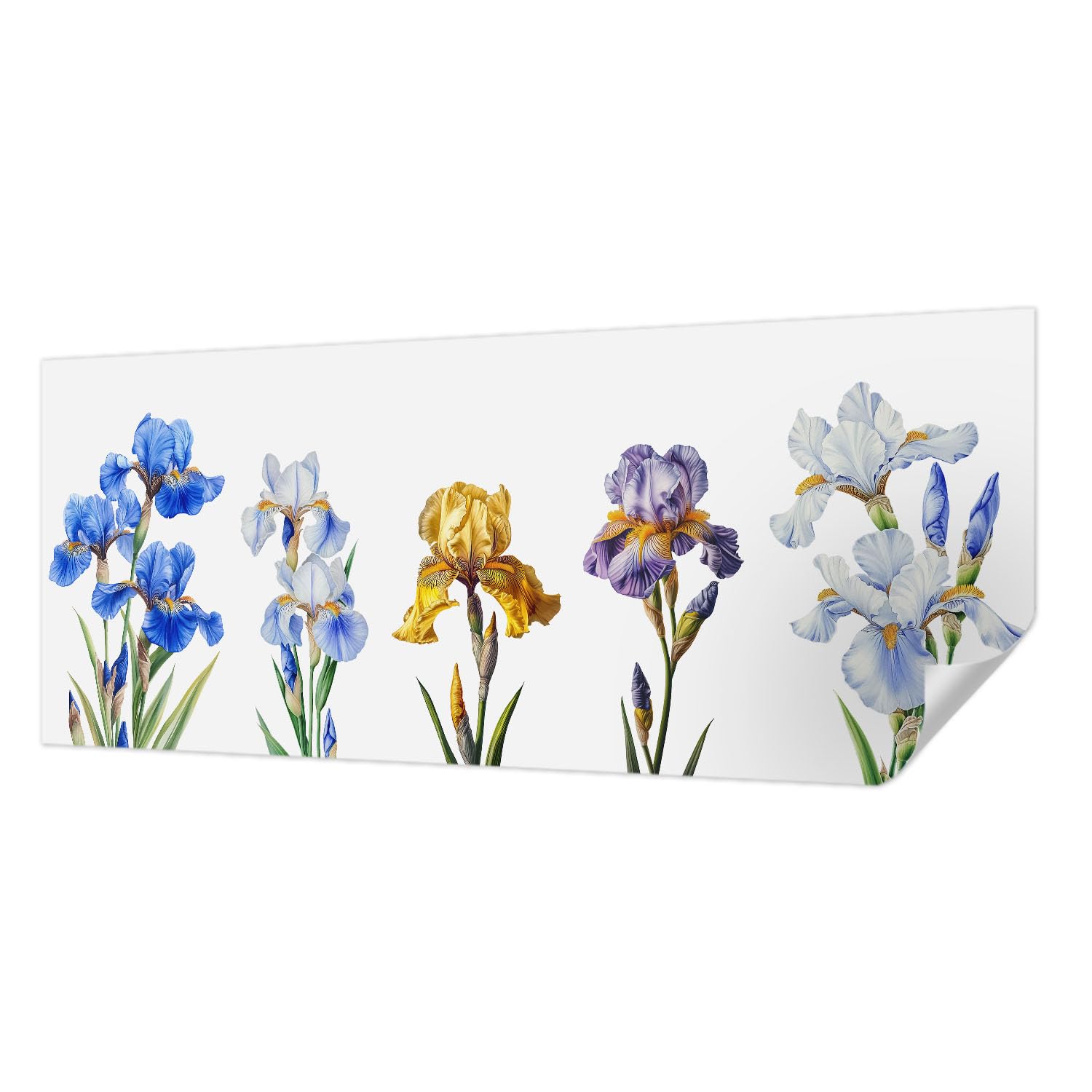 Papier peint auto-adhésif 250x104 cm avec fleurs d'iris panoramique pour chambre Tulup
