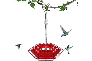 Sheren Hummingbird Feeder 2024 - Enhanced for Outdoors