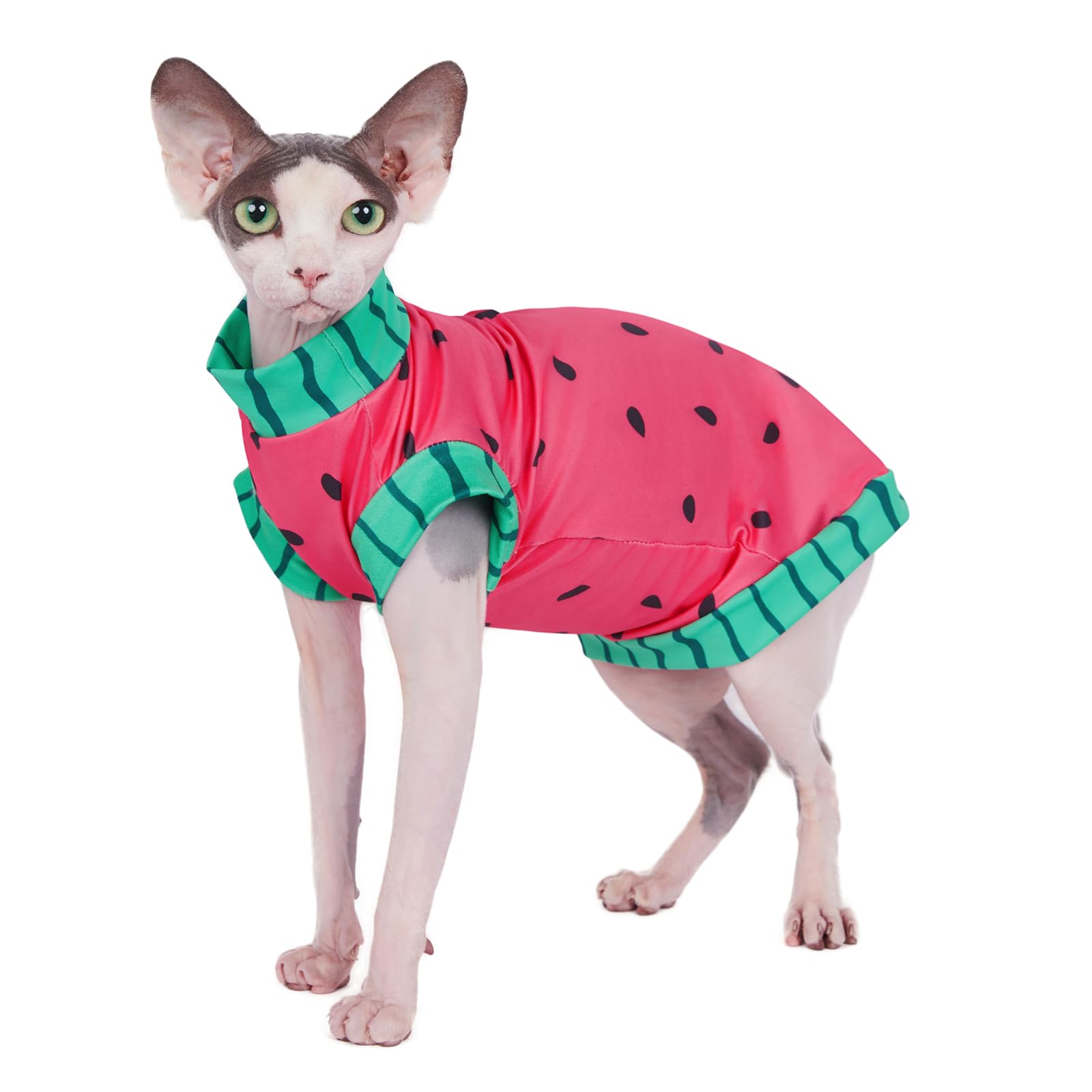 Sphynx koszula z motywem kota arbuza i kapelusz przeciwsłoneczny na lato, chłodząca, oddychająca koszula UPF 50+, odzież dla kotów i małych psów, odzież dla kotów (M (1,6-2,5 kg)