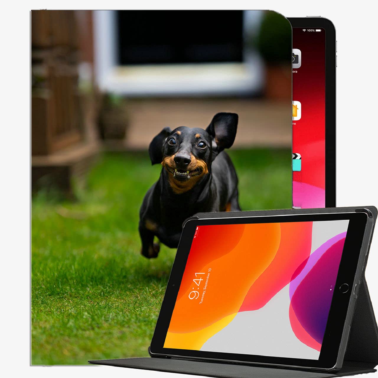 For iPad Pro 11 inch Case 2021 2020 2018 Cover,Dachshund Dog Pet Case Slim Shell Cover For ipad Pro 11 inch