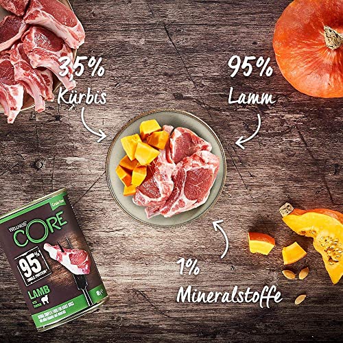 Wellness Core Hundefutter 95 % Lamm und Kürbis für empfindliche Hunde