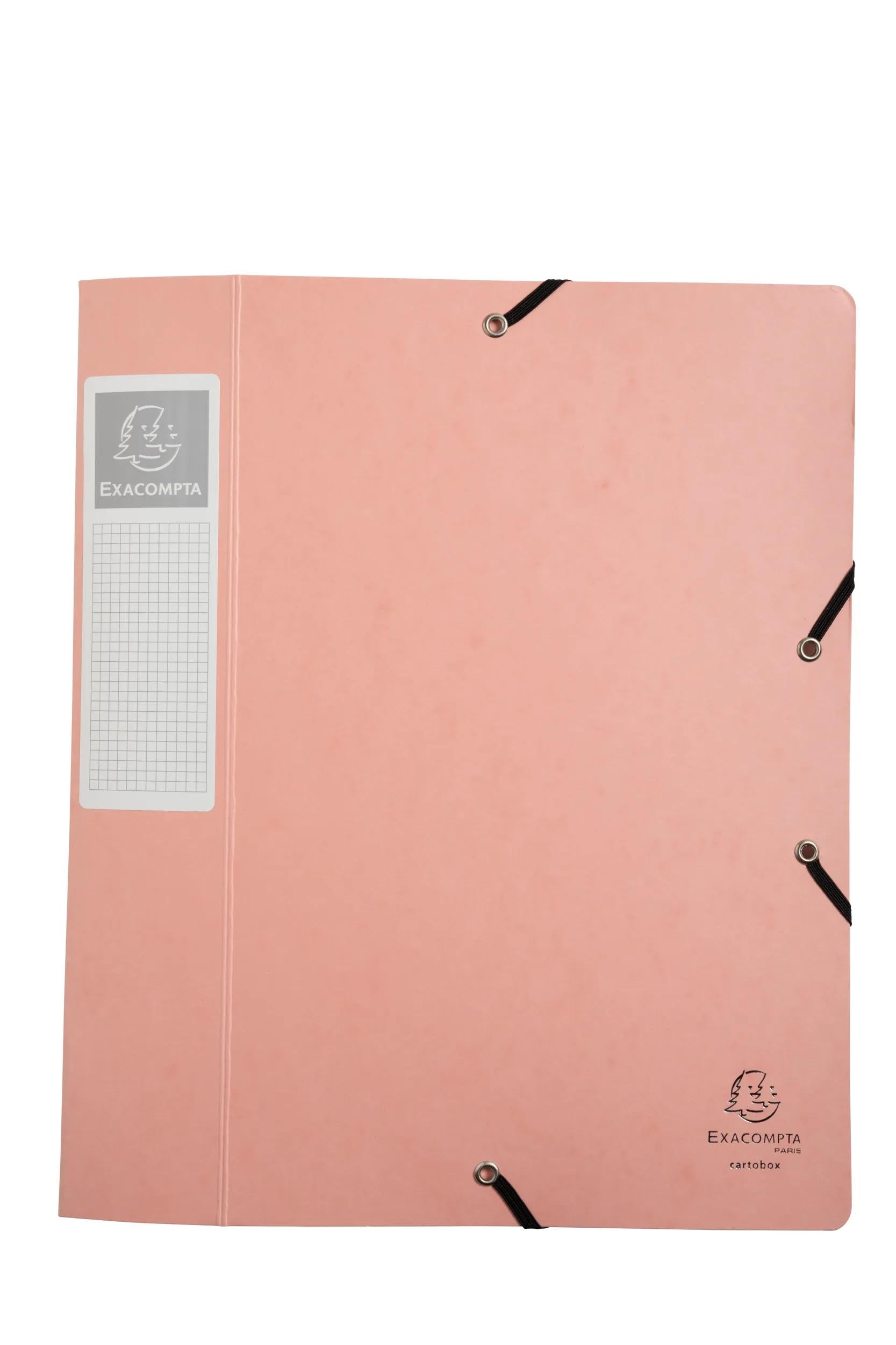 Exacompta 10 scatole archivio Cartobox Aquarel A4 dorso 6 cm