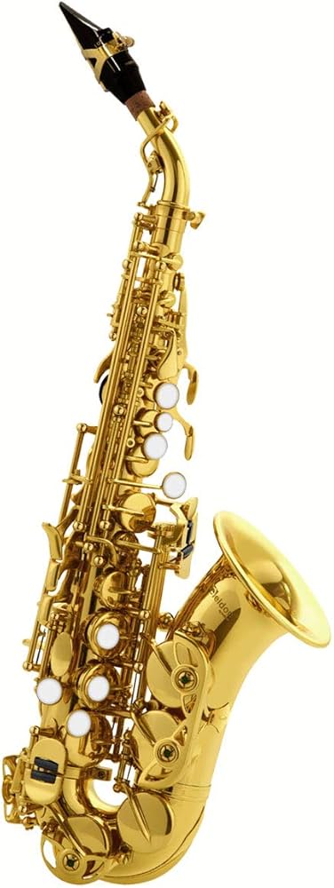 Amazon.co.jp: Antigua / ELDON エルドン CURVED SOPRANO アンティグア