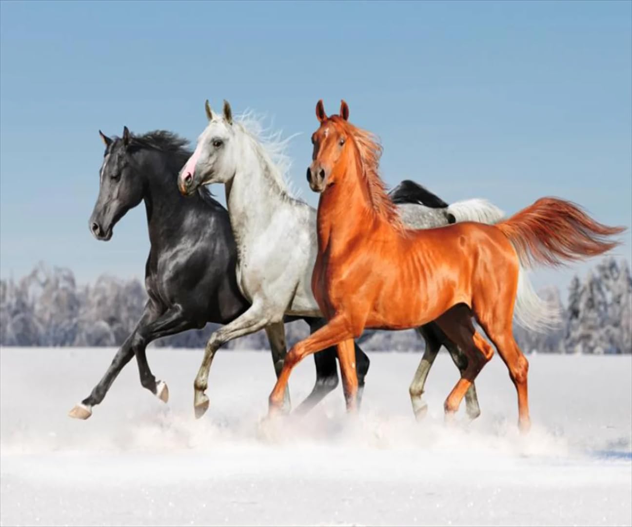 Papier peint mural 3D de prestige chevaux sous la neige trompe l'œil luxe