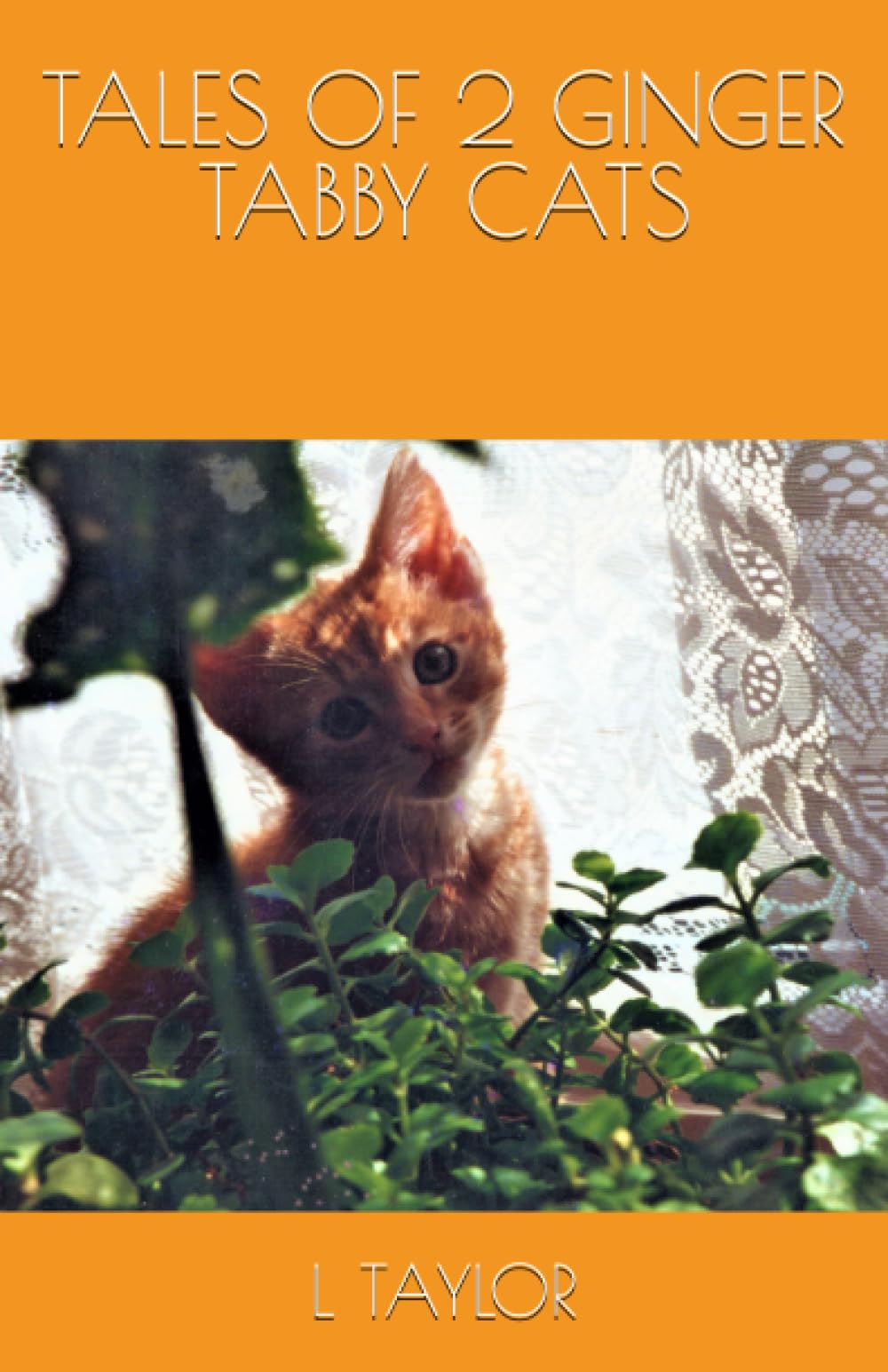 TALES OF 2 GINGER TABBY CATS