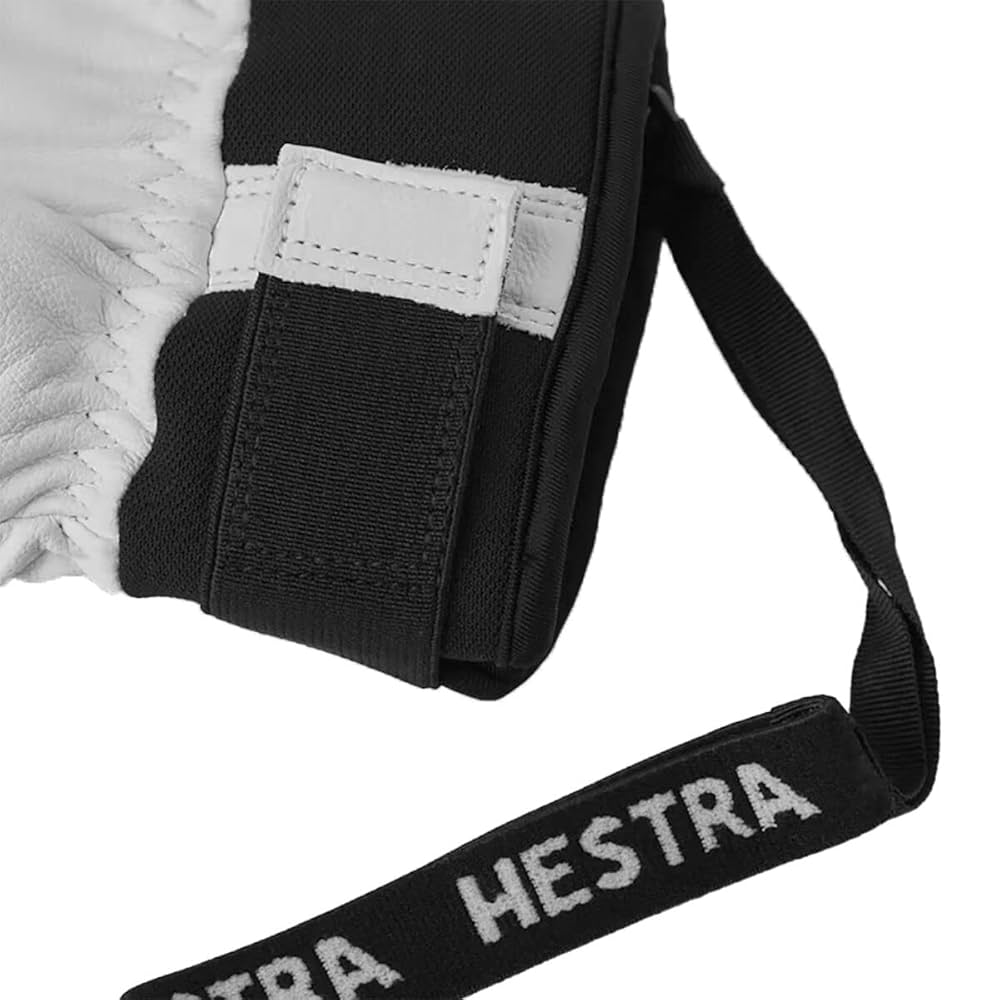 Amazon.co.jp: HESTRA 30630 HELI SKI GTX Black Gloves (8