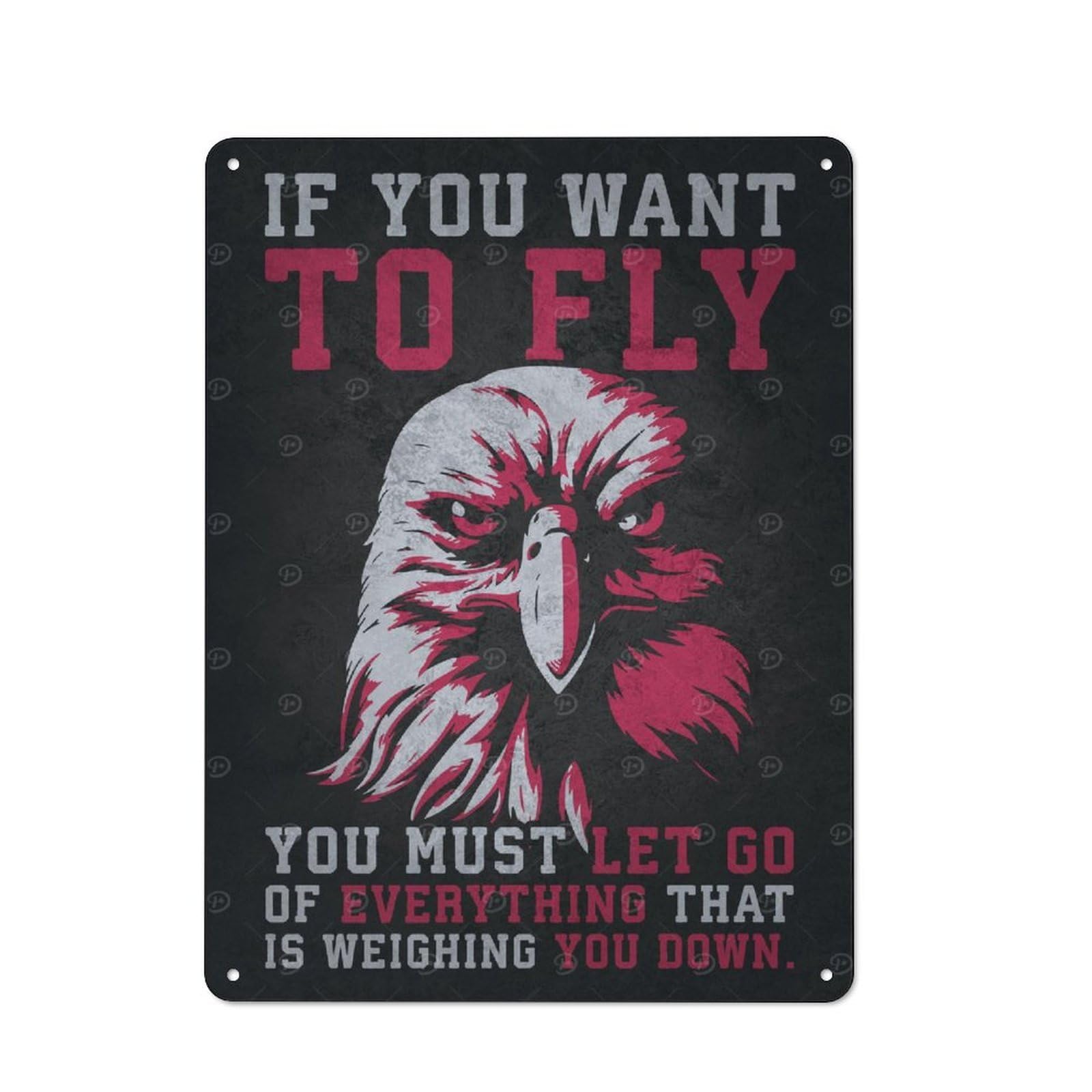 Junmoney Style-18 Vintage Metal Plaque 40X30cm Featuring To Fly Eagle Motivation For Hallway Wall, For Wall Display Collectors