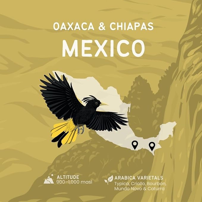 Canopy Point Coffee – Café Arábica Mexicano Tostado Claro, 5 lb en Grano miniatura 2