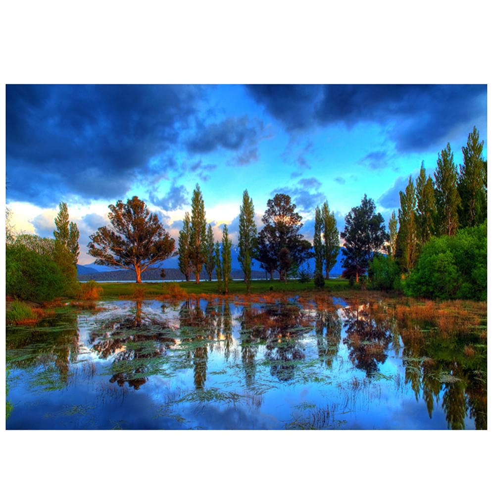 Broderie diamant 5D kit complet grand format paysage forestier idée cadeau