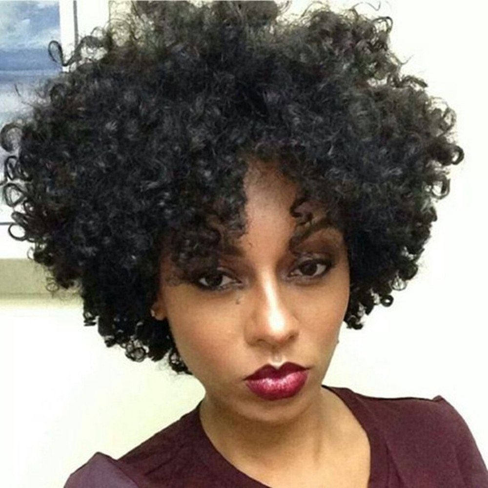 Buy Z112 (Black) Elim Short Curly Wigs For Black Women Afro Kinky