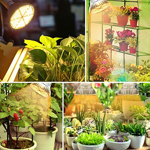 Amazon.co.jp: SINJIAlight