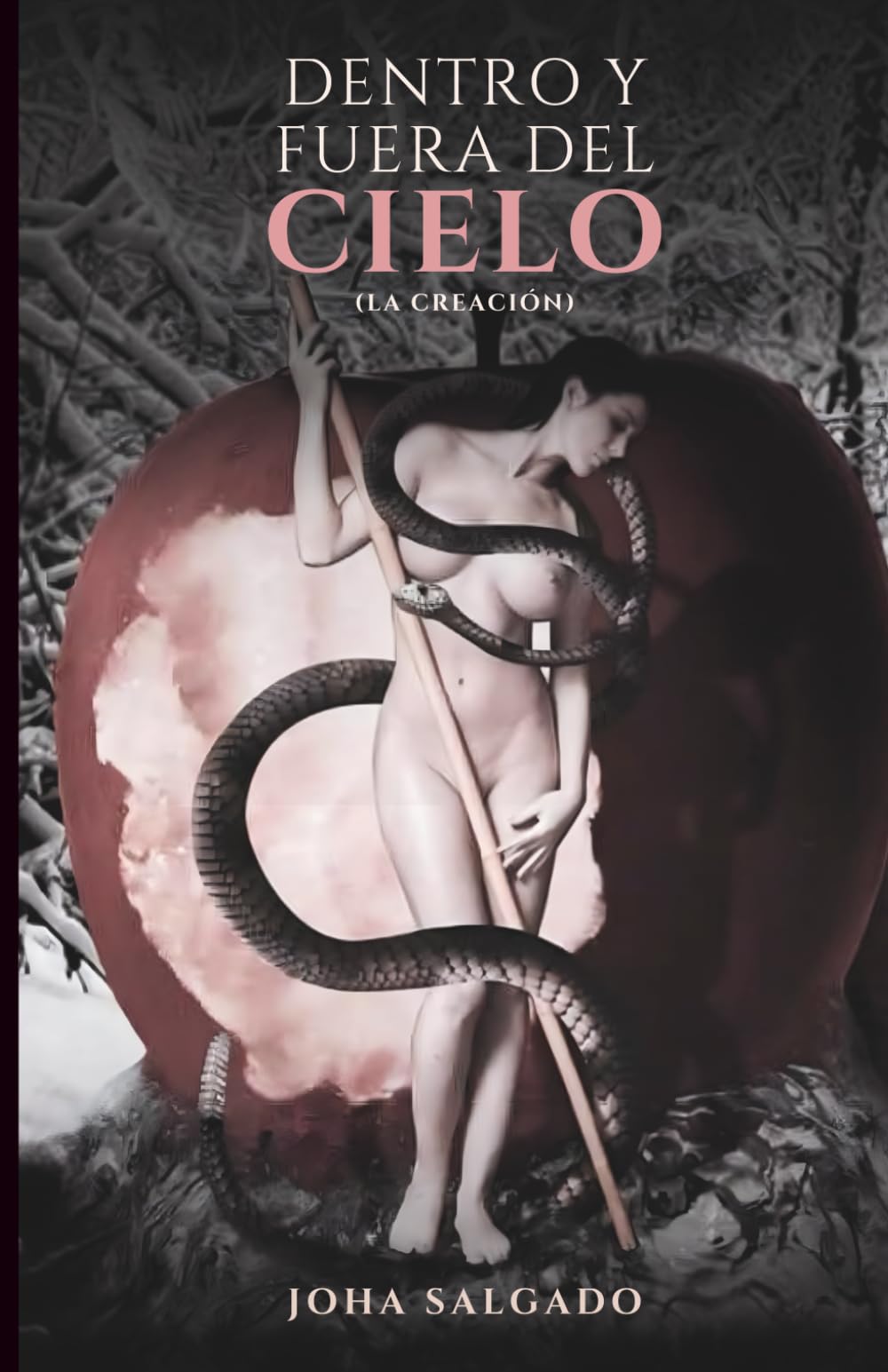 DENTRO Y FUERA DEL CIELO: (LA CREACIÓN) TRILOGÍA 1