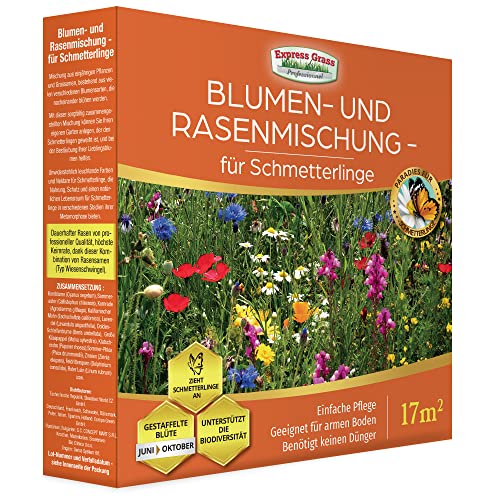 Blumenmischung für Schmetterlinge (17M2) - Japanischer Rasen