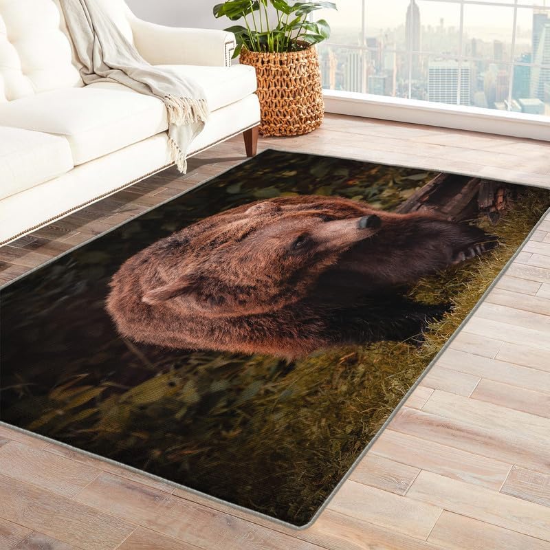 Alfombras de oso para dormitorio, sala de estar, animales y vida silvestre, alfombra de 3 x 4, lavable, antideslizante, suave, alfombra de pelo