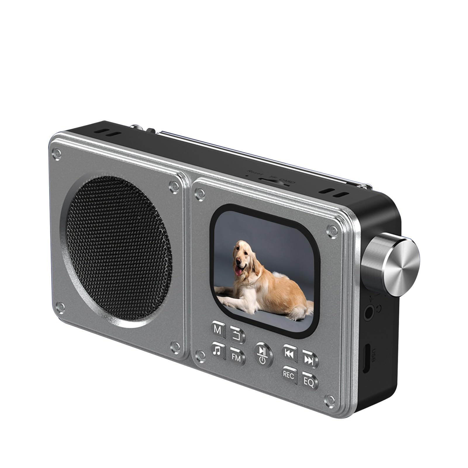 Annadue Radio FM Bluetooth Portátil para Viajes Al Aire Libre, Hogar, Pantalla de 2,01 Pulgadas, Reproductor de Música Bluetooth con Altavoz de Graves, Grabadora para Viajeros, En (64G)