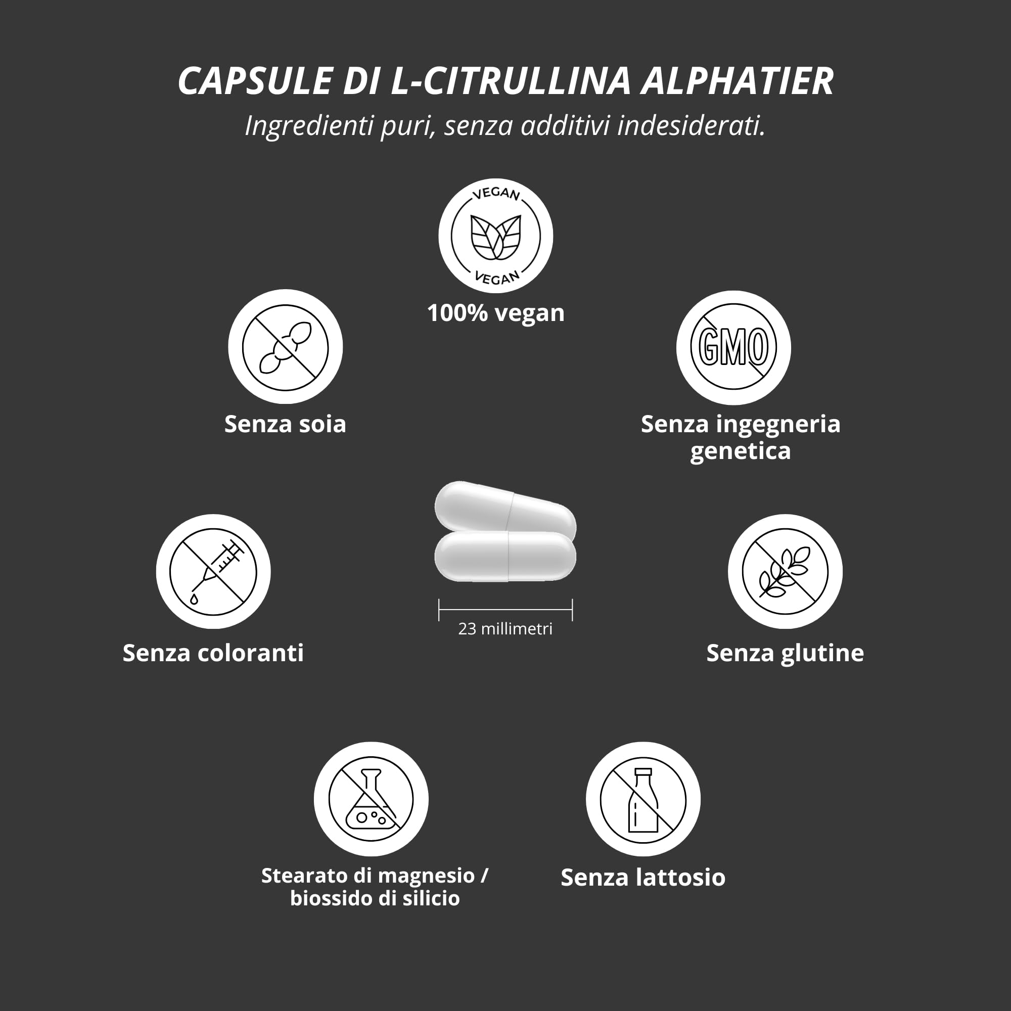 Alphatier L-Citrullina Malato Caps - 360 Capsule alto Dosaggio + Vegane - L-Citruline Malate DL 2:1 - Fitness Bodybuilding - senza Stearato di Magnesio o Additivi
