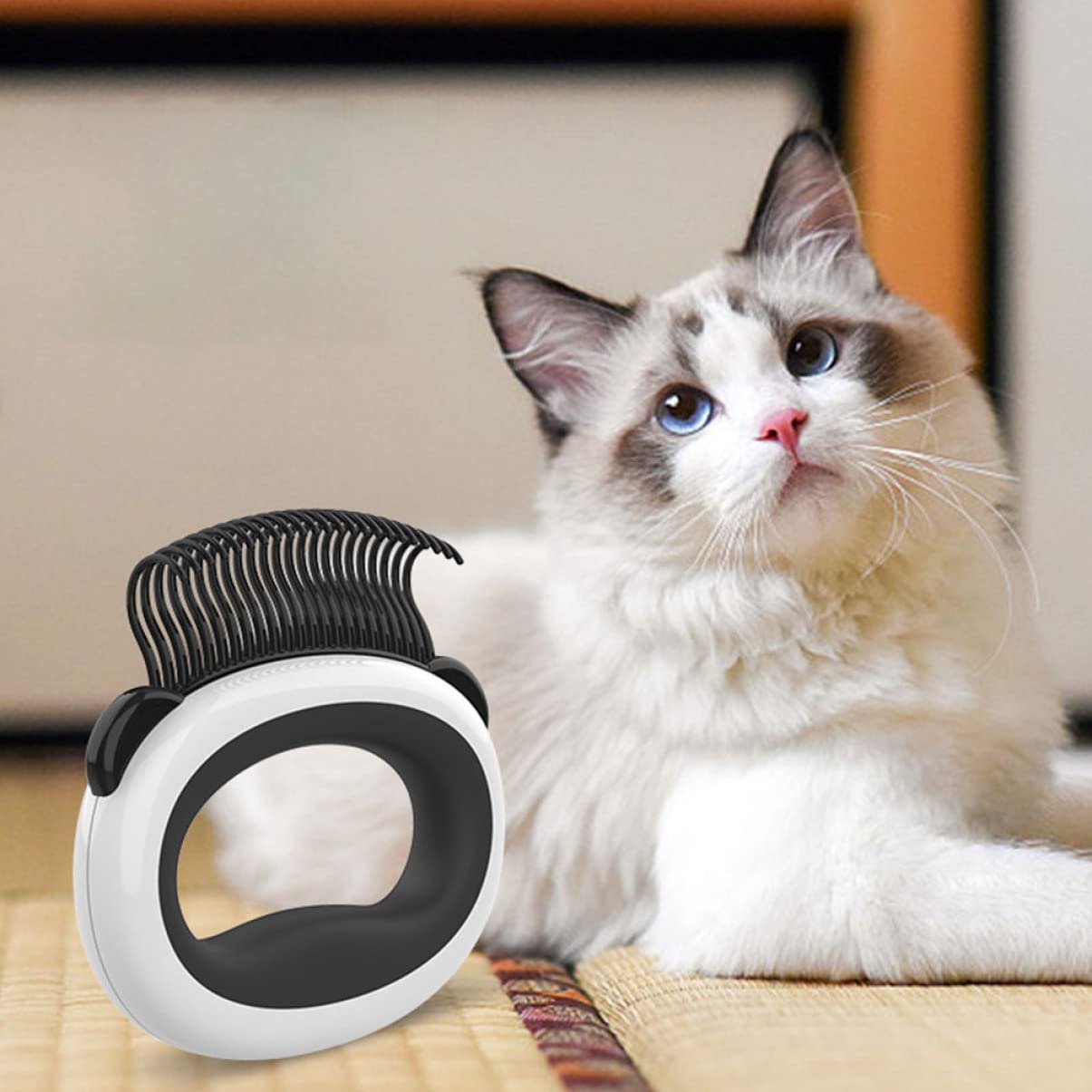 VANZACK 4pezzi Pettine Per Gatti Spazzola Per Grooming e Pulizia Del Pelo Rimuove Facilmente Doppie Doppie e Nodini Per Gatti Da Strumento Per Massaggio e Comfort Per Animali Domestici