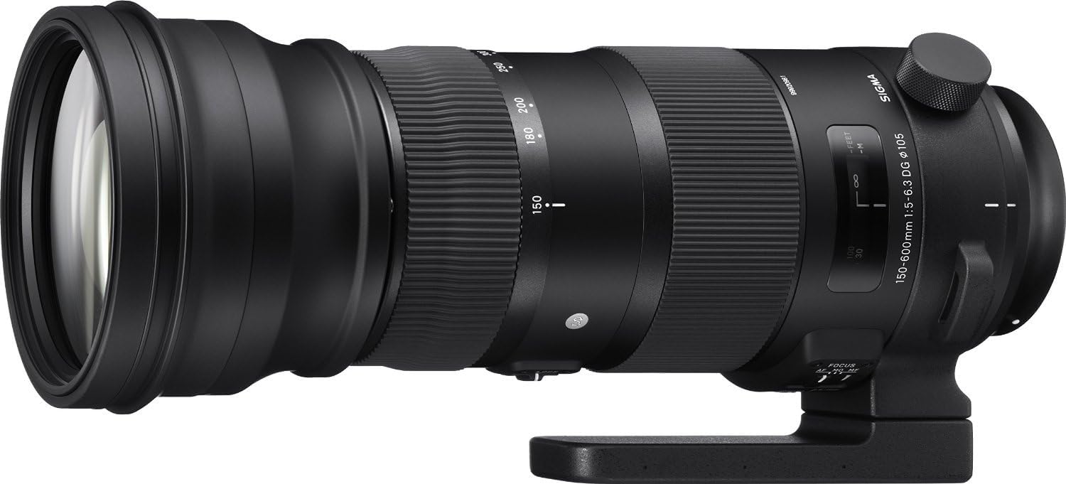 Amazon | SIGMA 150-600mm F5-6.3 DG OS HSM | Sports S014 | ニコンF