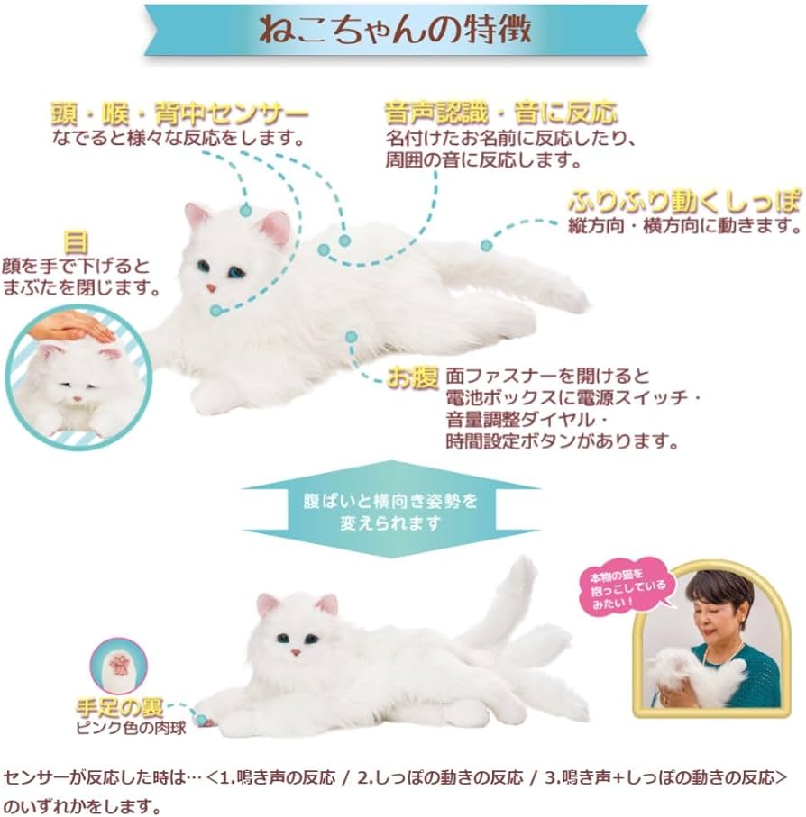 61FGFdYurPL._AC_UF894,