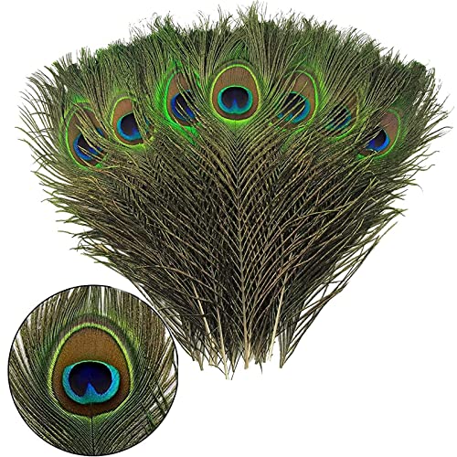 JEOPKO 15Pcs Peacock Feathers Natural Large Feathers Long Peacock Tail Feather for Wedding Christmas Party Decoration Vase Decoration Feathers Peacock Costume DIY Art & Craft.