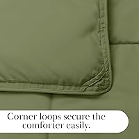 Vista 6 de Edredón ligero Southshore Fine Linens Vilano Springs, Microfibra, Verde salvia, Full Queen